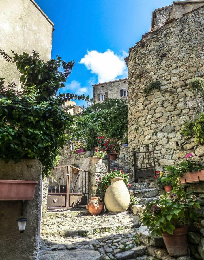 Appartement Campu Latinu à Lama Extérieur photo